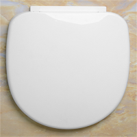 ICERS 中号马桶盖(单位:付)