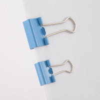 齐心(COMIX)B3696 彩色长尾票夹 5号6号 40只/筒/SET 配(单位:瓶)