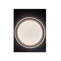 小浣熊 吸顶灯 家用72W 50CM