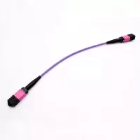 一业中信 低损MPO-MTP连接组件,用于楼宇内或数据中心内的主干连接 MPO-MTP-24