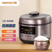 九阳(Joyoung)电压力锅 5L球形胆压力煲 40档调压 除菌功能 极易开合盖Y50C-B2501