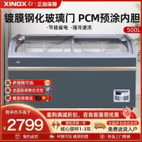 星星(XINGX)SD/SC-509BYE 500升 雪糕饮料柜 冰柜商用展示柜 冷藏冷冻转换 卧式展示柜 雪糕柜