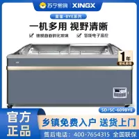 星星(XINGX)SD/SC-609BYE 600升 雪糕饮料柜 冰柜商用展示柜 冷藏冷冻转换 卧式展示柜 雪糕柜