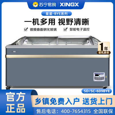 星星(XINGX)SD/SC-609BYE 600升 雪糕饮料柜 冰柜商用展示柜 冷藏冷冻转换 卧式展示柜 雪糕柜