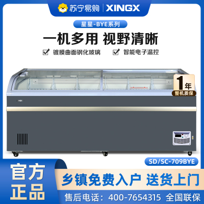 星星(XINGX)SD/SC-709BYE 700升 雪糕饮料柜 冰柜商用展示柜 冷藏冷冻转换 卧式展示柜 雪糕柜