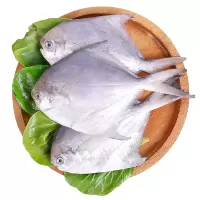 好拾味 白鲳鱼400g 冷冻海鲜水产鳊鱼银鲳鱼生鲜鱼类