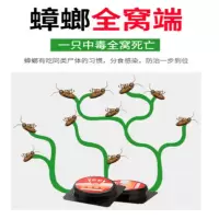 杀蟑饵剂 2.5g*10个/盒