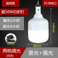 闪电客应急照明LED灯100W