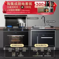 志高(CHIGO)JJZY-T16体感蒸烤消一体集成灶液化气+900MM超声波清洗集成水槽13件套洗碗机集成厨电套装