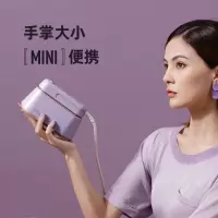 大宇折叠蒸汽电熨斗HI-029