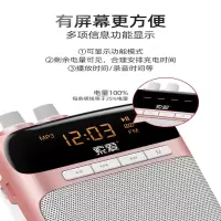 索爱多功能无线扩音器