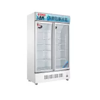 英鹏(GYPEX)BL-200LC680L冷藏柜防爆冰箱
