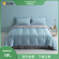 凯盛家纺 2022新款双面天丝四件套 莱赛尔纤维冰丝裸睡床上用品夏季被套(清风)