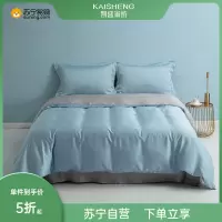 凯盛家纺 2022新款双面天丝四件套 莱赛尔纤维冰丝裸睡床上用品夏季被套(清风)