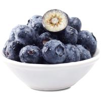 冠町 当季高山蓝莓新鲜水果 中果125g*2盒