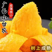 (需催熟)五个农民广西百色台农9斤大果(单果200-400g)芒果新鲜小台芒现摘应当季水果热带芒果整箱