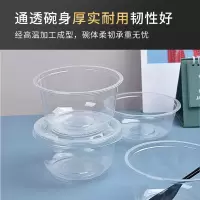 特美居一次性汤碗500型加厚透明饭碗饺子汤圆汤碗300只/箱 打包盒户外烧烤野炊圆形小碗无盖