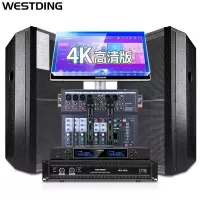 维斯汀 1015舞台音响 1套