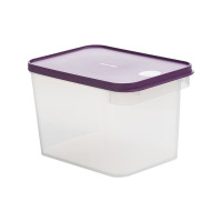 茶花 000013 芮格保鲜盒5100(单位:个)