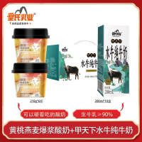 皇氏乳业神饭不着黄桃爆浆燕麦酸奶早餐饱腹210g*6杯搭配甲天下水牛纯牛奶200ml*10盒孕妇儿童学生补钙牛奶组合