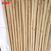 ZDET 蜡木杆 长:170cm 白蜡杆(根)