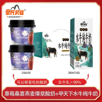皇氏乳业神饭不着桑葚草莓爆浆燕麦酸奶早餐饱腹210g*6杯搭配甲天下水牛纯牛奶200ml*10盒孕妇儿童学生补钙牛奶组合