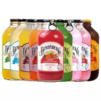 NBYH-宾得宝果味汽水 375ml*24瓶 (团购专属 100件起送)