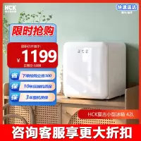 HCK哈士奇 BC-46COC 化妆品冰箱复古小型迷你护肤面膜美容美妆-白色