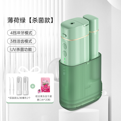 摩鱼电动冲牙器便携式水牙线家用正畸专用牙齿口腔洗牙神器杀菌款