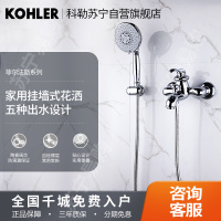 科勒淋雨花洒浴缸花洒龙头菲尔法斯挂墙式家用淋浴器套装8654T