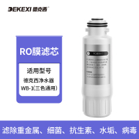 德克西 WB-1 三号滤芯