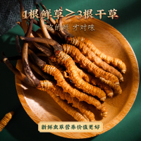 色季拉 2024头期新鲜冬虫夏草官方旗舰店正品虫草 礼盒装 1.5克/根 30根装