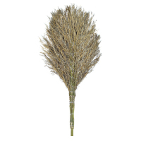 绿爽 环卫竹扫把 大扫把一体式竹扫把