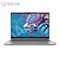 联想(lenovo)Pro14 14英寸笔记本电脑(I5-11320H 16G 512GSSD 集显 2.8K屏)