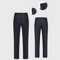 才子女西裤(夏) 聚酯纤维95% 氨纶5% 100件起订