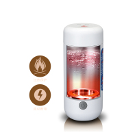 艾美特(Airmate)CR0309电热烧水杯 CR0309