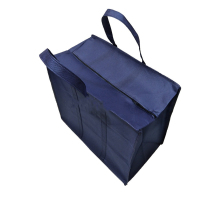 安雅定制无纺布包 10个装