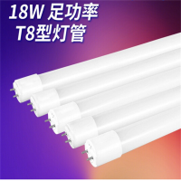 TENDZONE LED1.2米T8长管灯(单位:根)