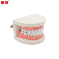 优模 YOMO/OR04 1比1大口腔模型牙模型模具教具模具牙科教学模型 可拆卸口腔假牙