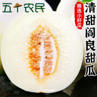 [五个农民]陕西阎良甜瓜5斤新鲜水果当季蜜瓜脆甜小白瓜