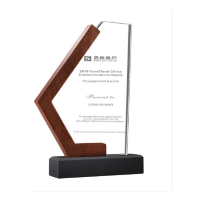 云兔创意水晶奖杯定制订做奖牌树脂纪念品刻字