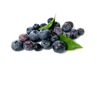 绿食者 新鲜蓝莓鲜果 现摘美味浆果水果辅食材料 1盒