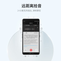 科大讯飞(iFLYTEK) SR901智能录音笔实时转写文字中英翻译机会议边录边译 钢琴黑64G