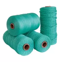 元出 尼龙绳捆绑塑料绳户外 2mm 100米