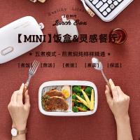 大宇(DAEWOO) 电热饭盒DY-FH101