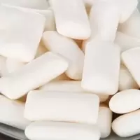 首福 木糖醇口香糖约40粒56g单瓶 蓝莓