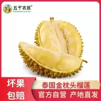 (切勿生切)[预售五天内发货]五个农民泰国进口一级金枕榴莲10-11斤当季进口金枕头