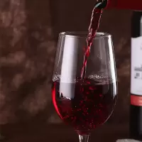 大瓷坊 干红葡萄酒 750ml