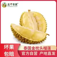 (切勿生切)[预售五天内发货]五个农民泰国进口一级金枕榴莲4-5斤保4房肉1
