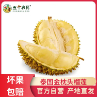 (切勿生切)[预售五天内发货]五个农民泰国进口一级金枕榴莲8-9斤保4房肉当季进口金枕头生鲜自营1